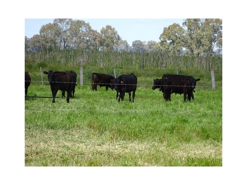 1797 Sinclair Road, Tongala VIC 3621