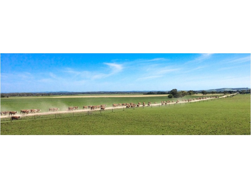 270 – 720 Walkerville Road, Tarwin Lower VIC 3956