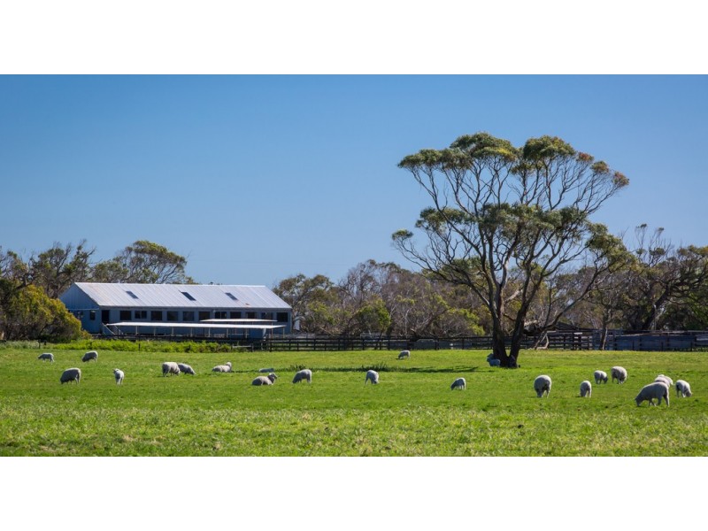 270 – 720 Walkerville Road, Tarwin Lower VIC 3956