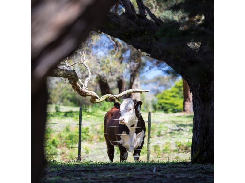 270 – 720 Walkerville Road, Tarwin Lower VIC 3956