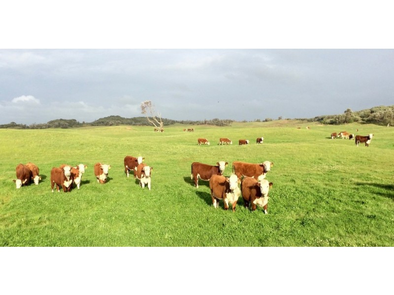 270 – 720 Walkerville Road, Tarwin Lower VIC 3956