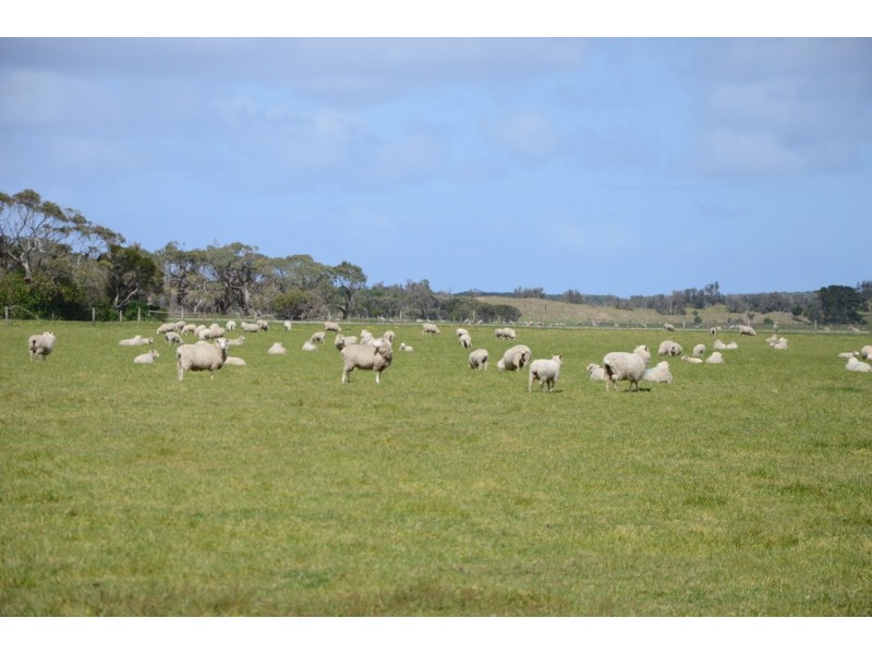 270 – 720 Walkerville Road, Tarwin Lower VIC 3956