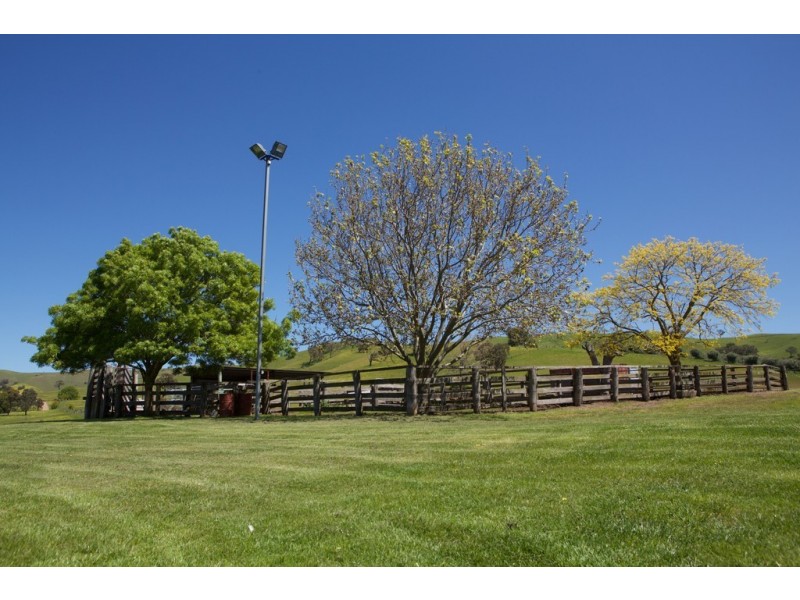 480 Chapmans Road, Glenaroua VIC 3764