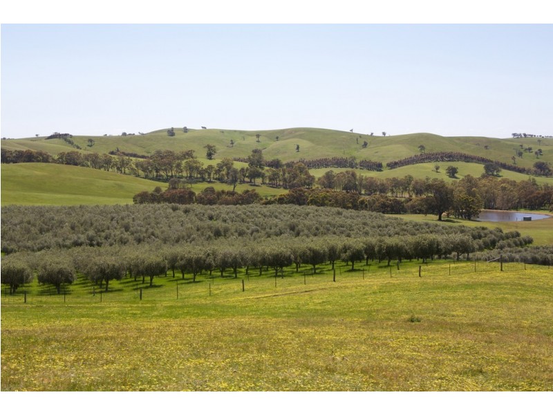 480 Chapmans Road, Glenaroua VIC 3764