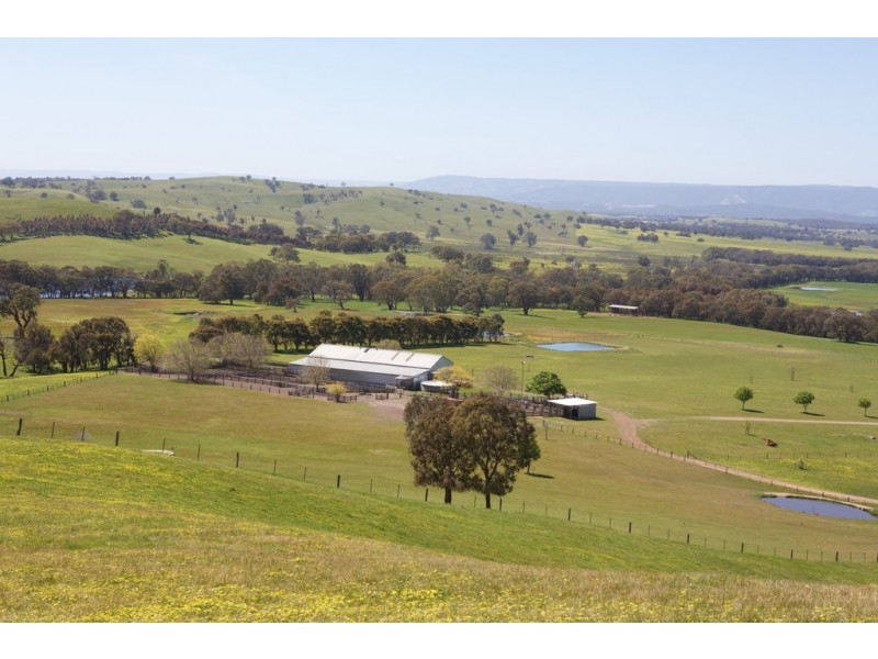 480 Chapmans Road, Glenaroua VIC 3764