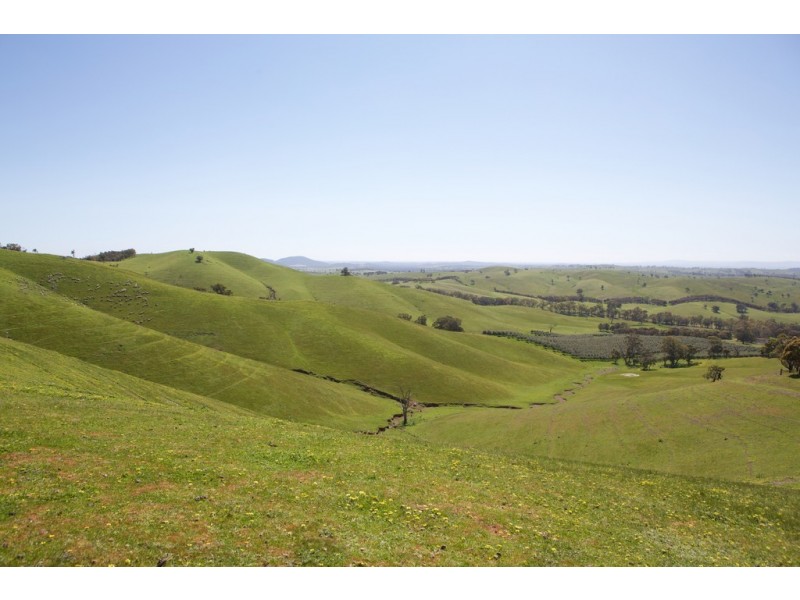 480 Chapmans Road, Glenaroua VIC 3764