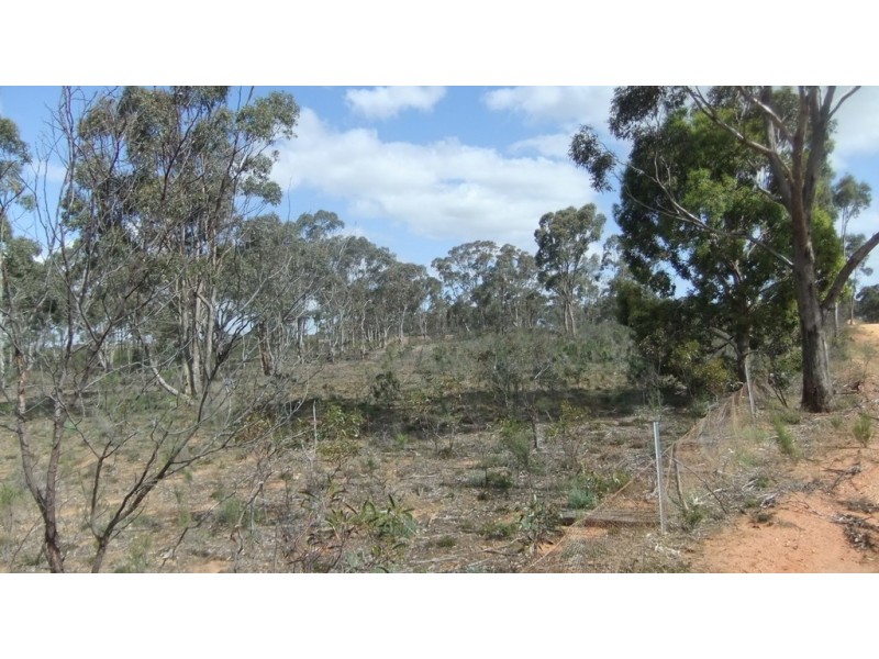 . Peacock Road, Dalyenong VIC 3477