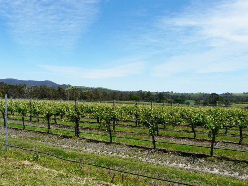 160 Healesville-Koo Wee Rup Road, Healesville VIC 3777