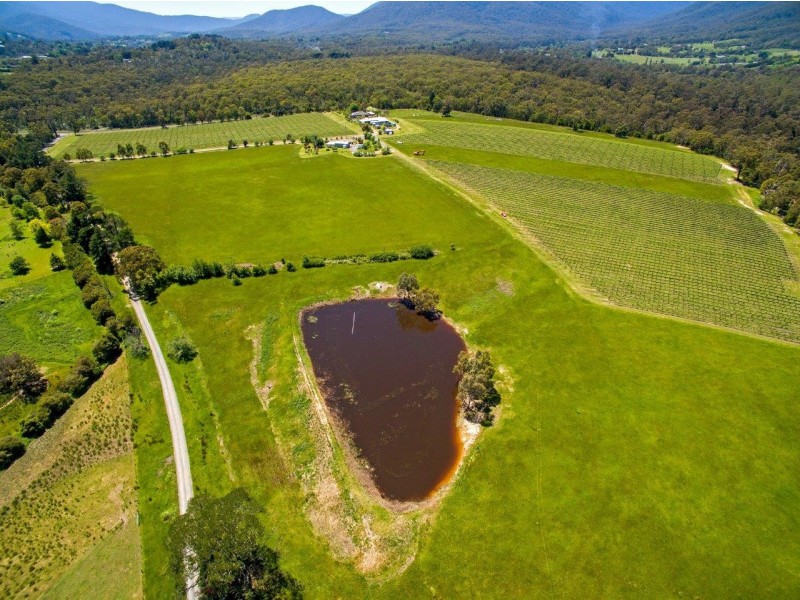 160 Healesville-Koo Wee Rup Road, Healesville VIC 3777