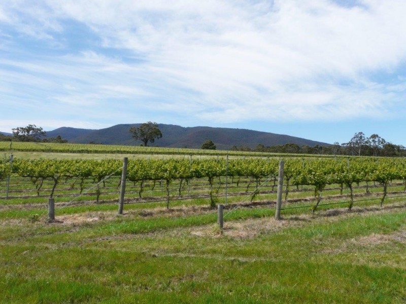 160 Healesville-Koo Wee Rup Road, Healesville VIC 3777