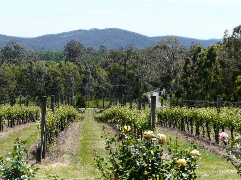 160 Healesville-Koo Wee Rup Road, Healesville VIC 3777