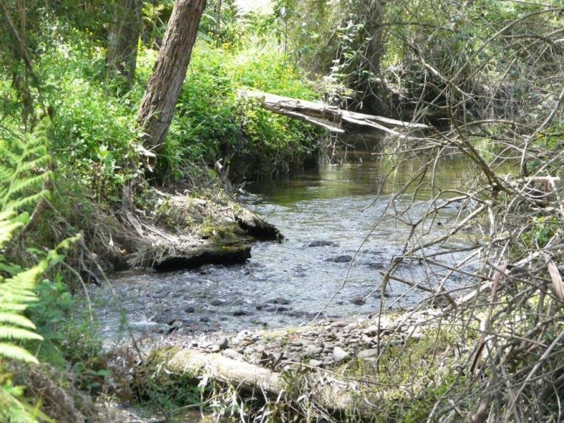 160 Healesville-Koo Wee Rup Road, Healesville VIC 3777