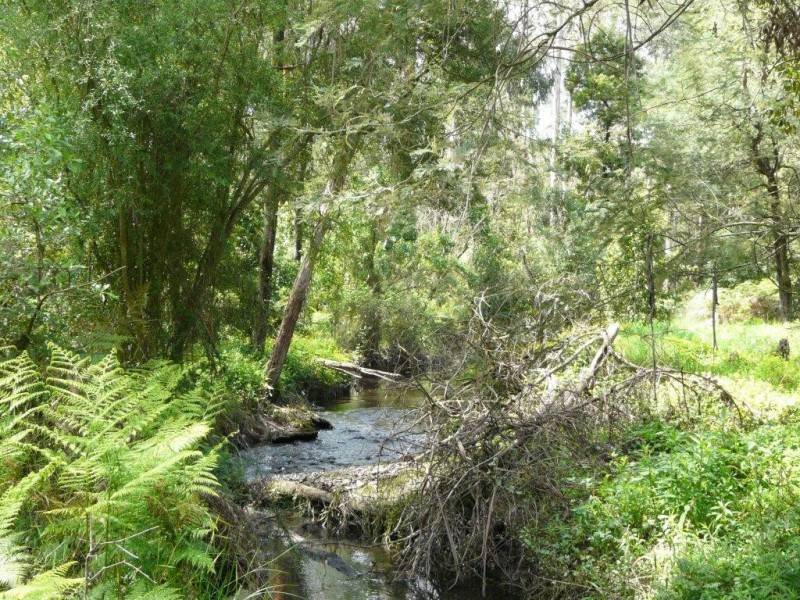 160 Healesville-Koo Wee Rup Road, Healesville VIC 3777