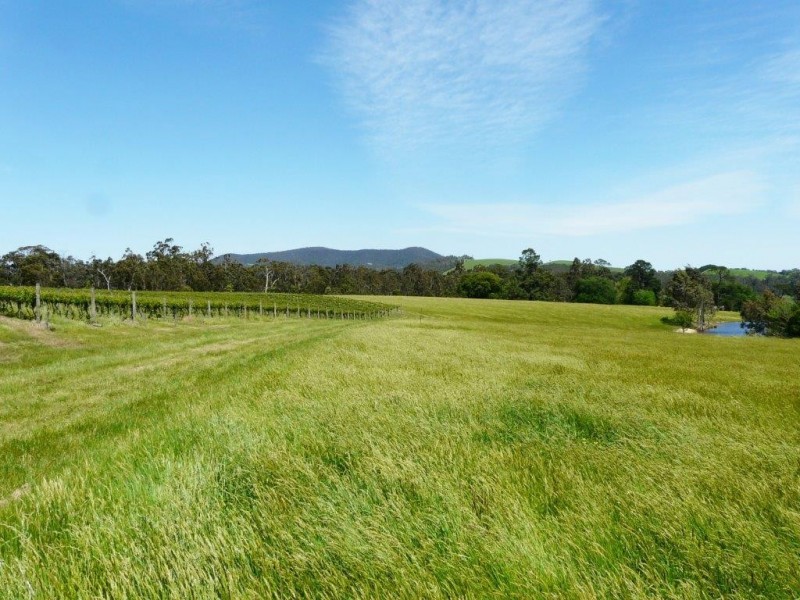 160 Healesville-Koo Wee Rup Road, Healesville VIC 3777