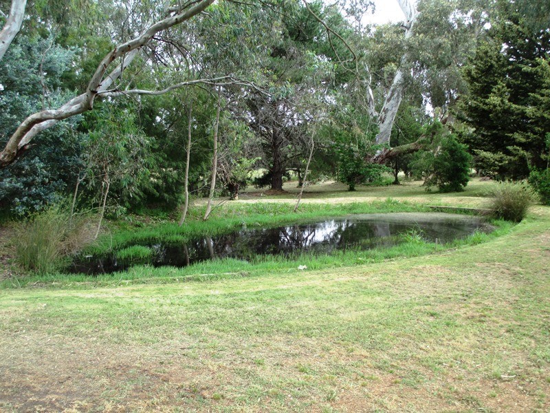 17 Weeks Court, Alexandra VIC 3714