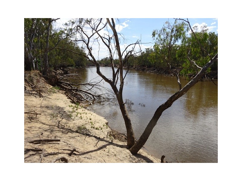 .. Old Barmah Road, Moama NSW 2731