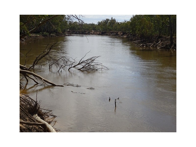 .. Old Barmah Road, Moama NSW 2731