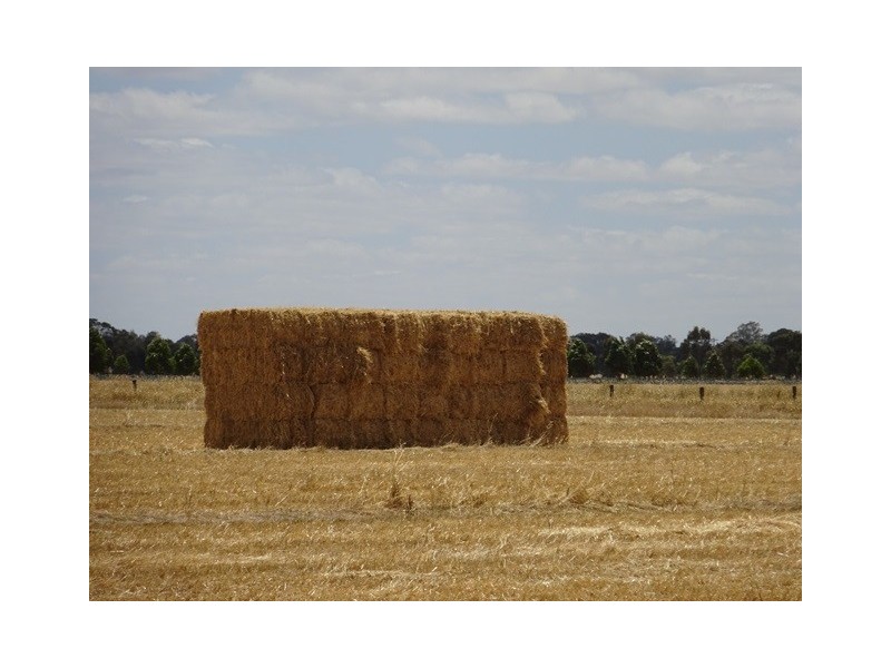 … Cnr Rowe Road and McDonald Road, Echuca VIC 3564