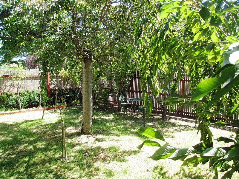 22 McKenzie St, Alexandra VIC 3714
