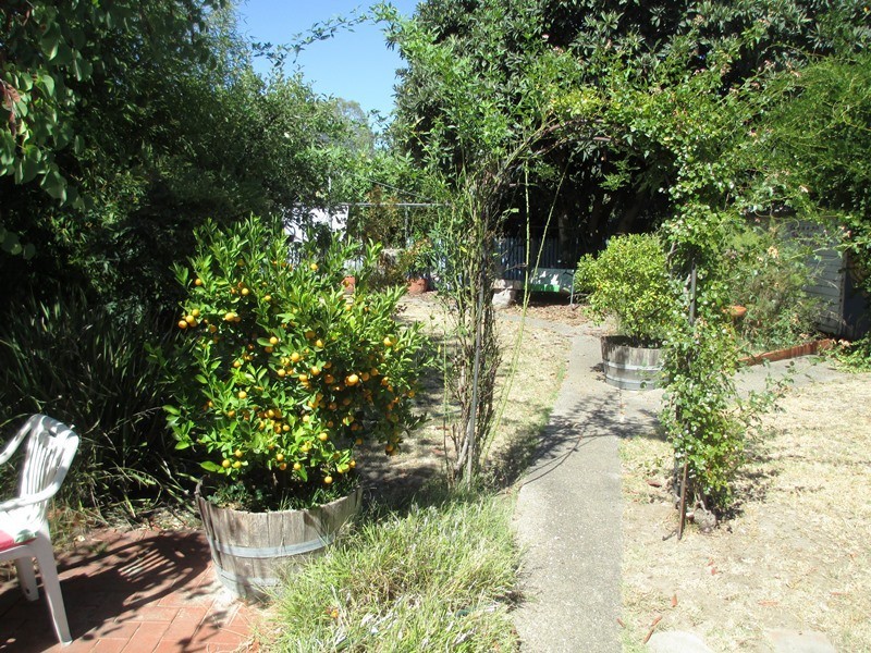 22 McKenzie St, Alexandra VIC 3714
