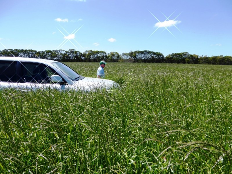 - Tuffs Lane, The Sisters VIC 3265