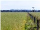 - Tuffs Lane, The Sisters VIC 3265