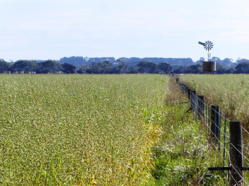 - Tuffs Lane, The Sisters VIC 3265