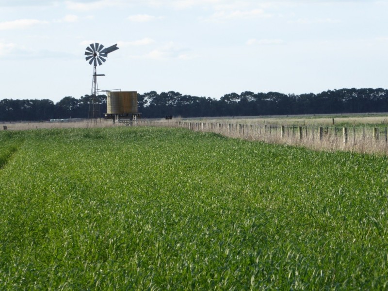 - Tuffs Lane, The Sisters VIC 3265