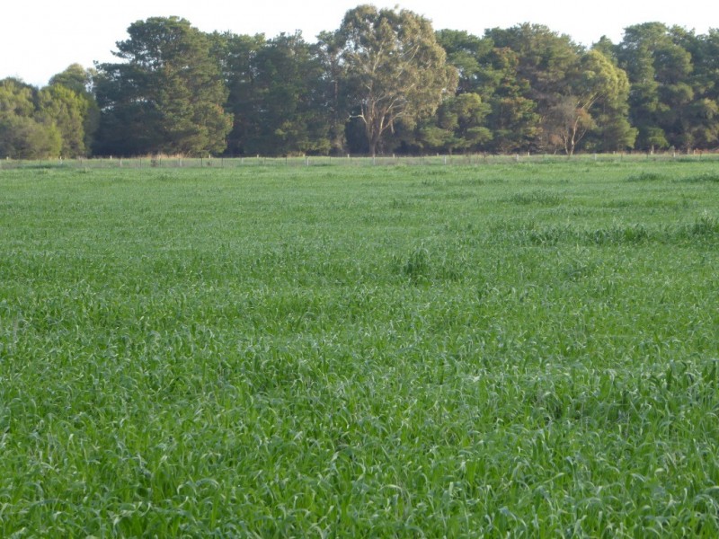 - Tuffs Lane, The Sisters VIC 3265