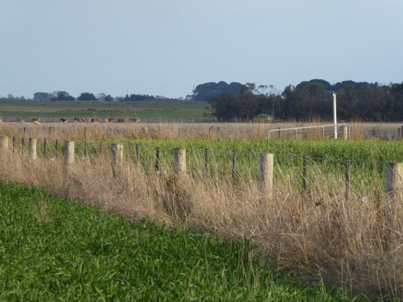 - Tuffs Lane, The Sisters VIC 3265