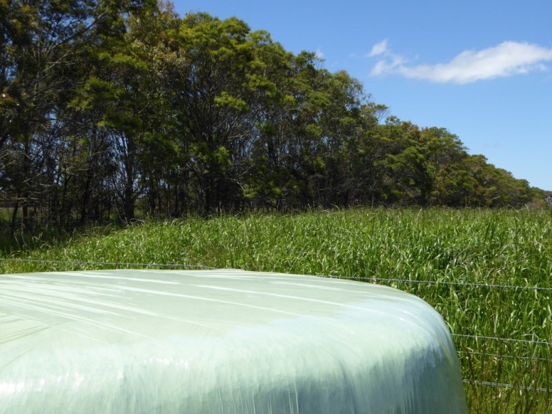 - Tuffs Lane, The Sisters VIC 3265