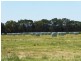 - Tuffs Lane, The Sisters VIC 3265