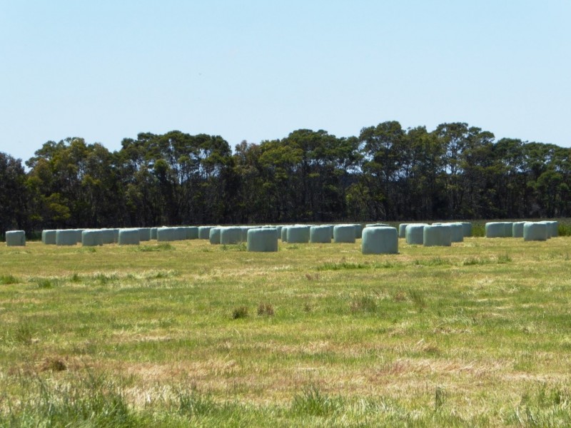 - Tuffs Lane, The Sisters VIC 3265