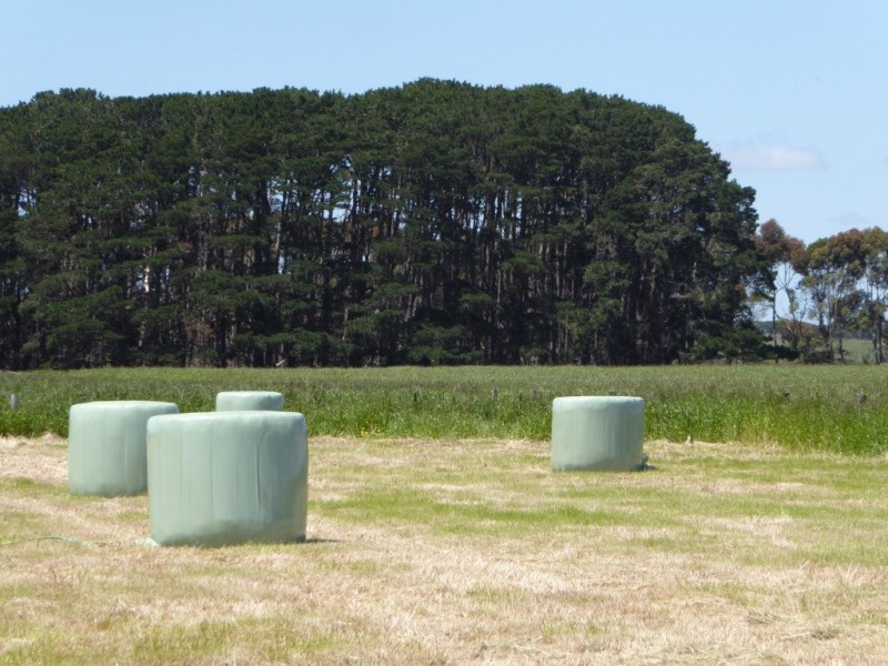 - Tuffs Lane, The Sisters VIC 3265