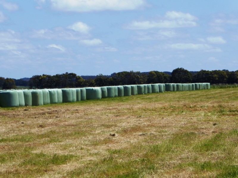 - Tuffs Lane, The Sisters VIC 3265