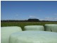 - Tuffs Lane, The Sisters VIC 3265
