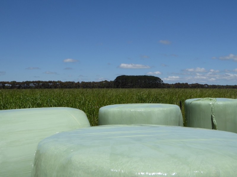 - Tuffs Lane, The Sisters VIC 3265