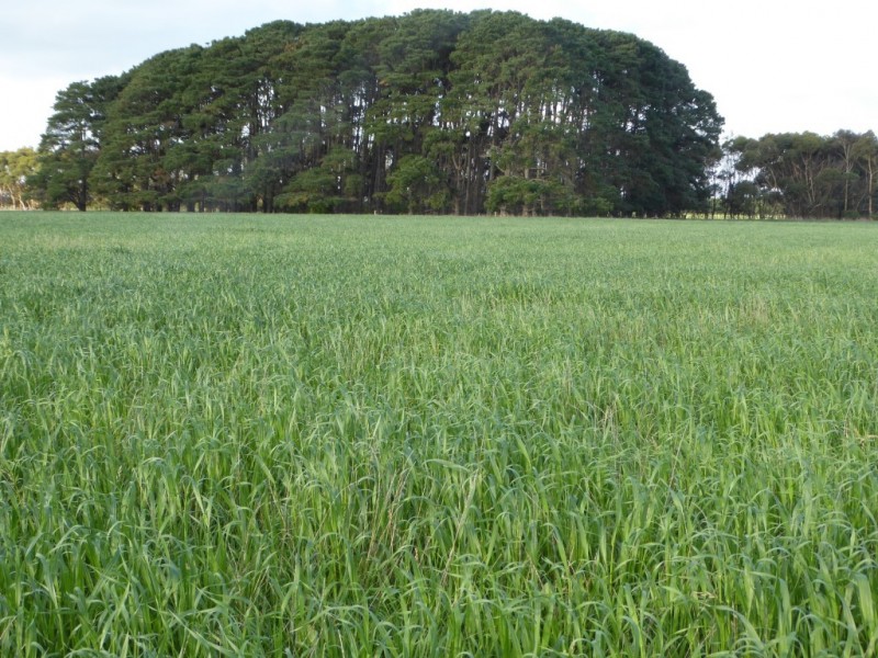 - Tuffs Lane, The Sisters VIC 3265