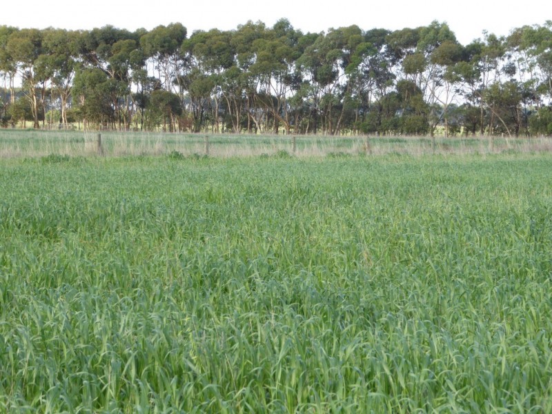 - Tuffs Lane, The Sisters VIC 3265