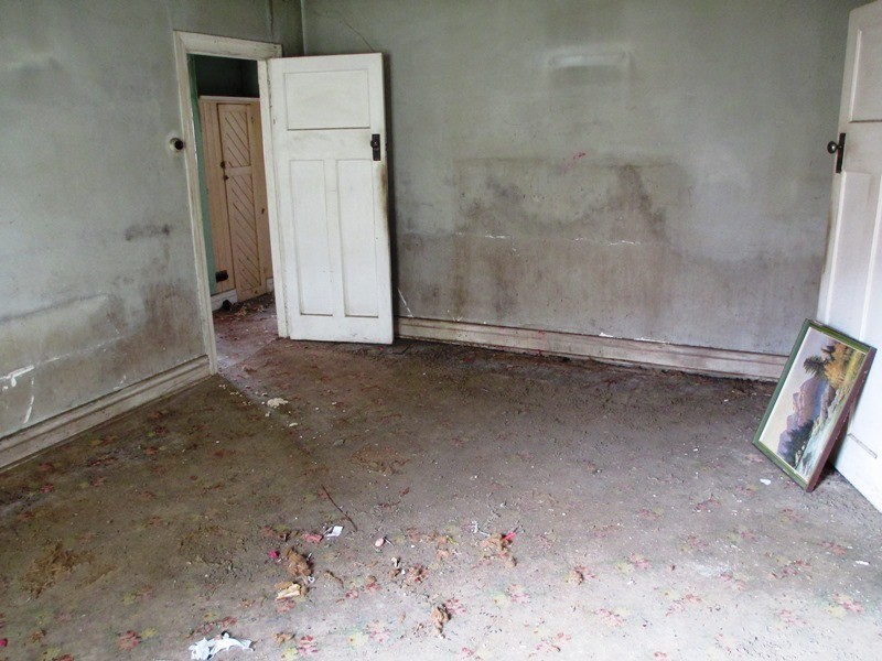 42 Shamrock St, Alexandra VIC 3714