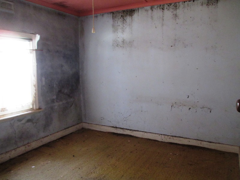 42 Shamrock St, Alexandra VIC 3714