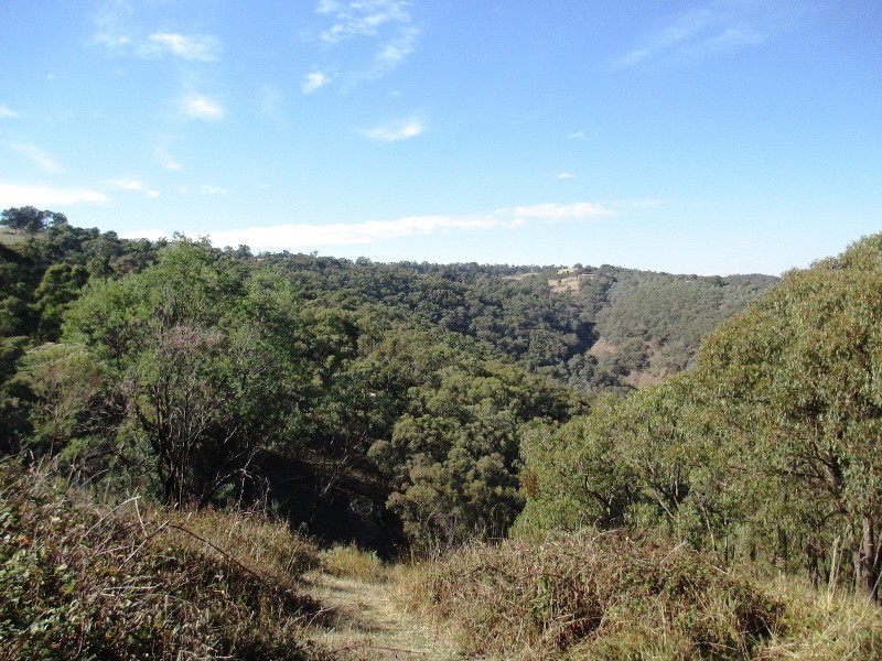 Lot 1 1575 Skyline Rd, Alexandra VIC 3714