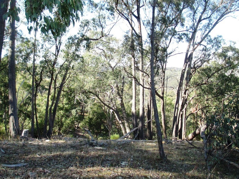 Lot 1 1575 Skyline Rd, Alexandra VIC 3714