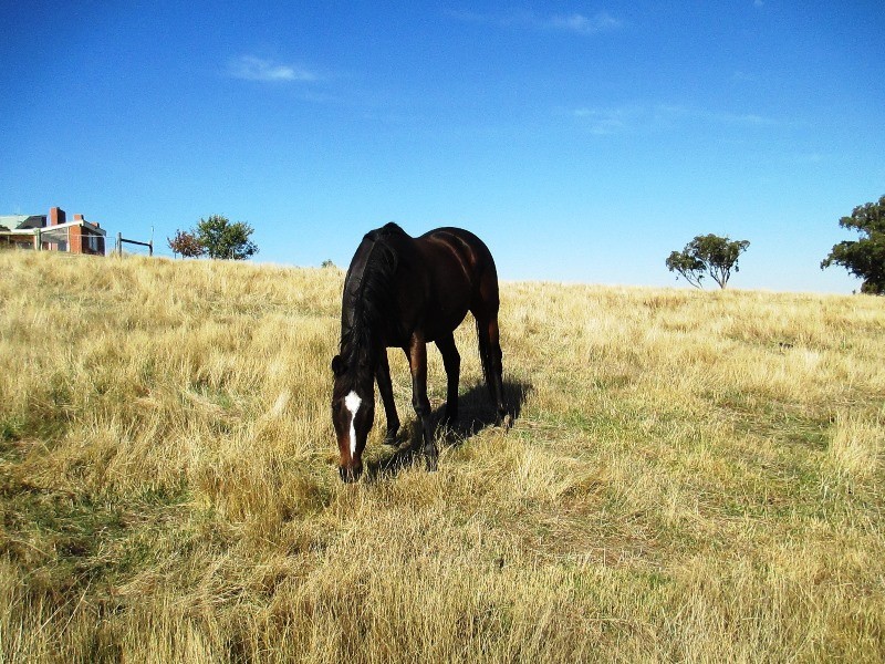 Lot 1 1575 Skyline Rd, Alexandra VIC 3714