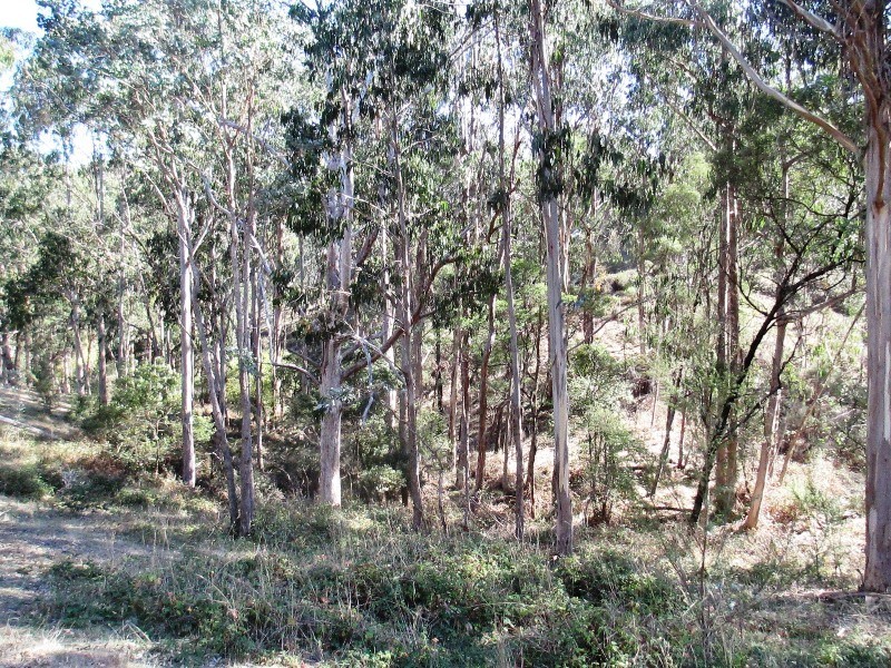 Lot 2 1575 Skyline Rd, Alexandra VIC 3714