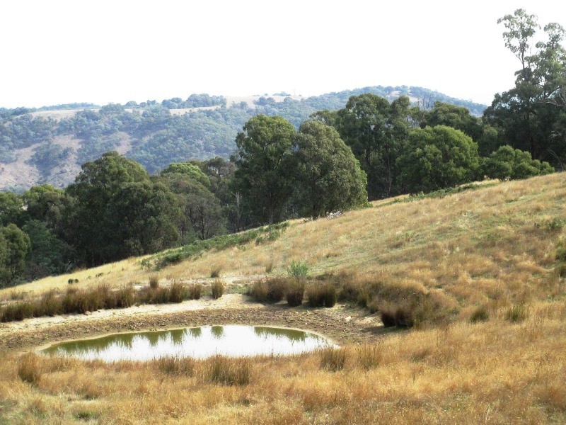 Lot 2 1575 Skyline Rd, Alexandra VIC 3714