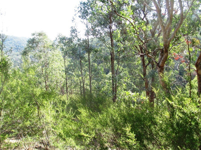 Lot 2 1575 Skyline Rd, Alexandra VIC 3714