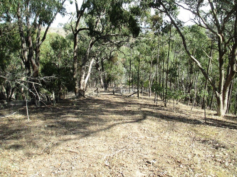 Lot 2 1575 Skyline Rd, Alexandra VIC 3714