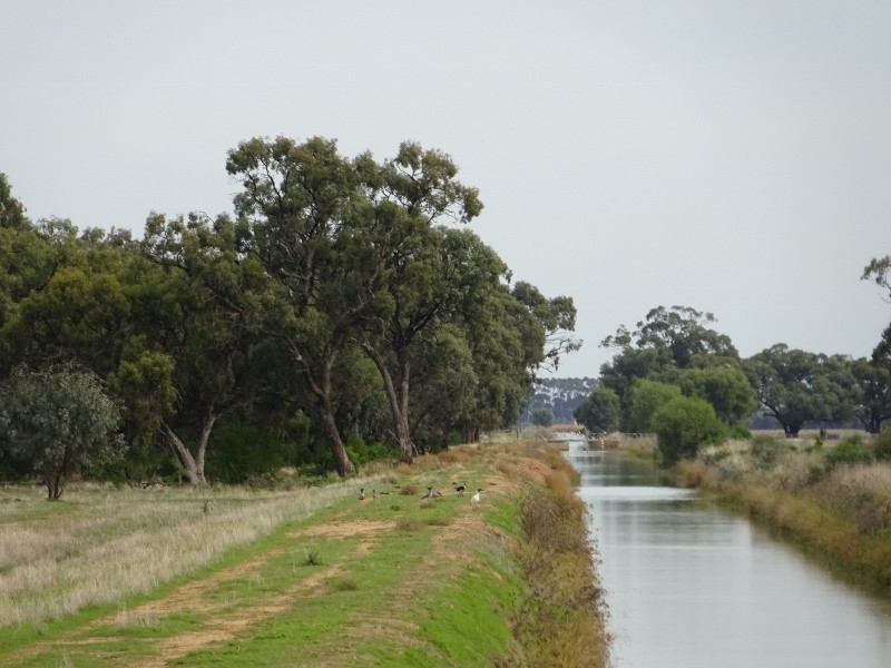 225 Streckfuss Road, Mathoura NSW 2710