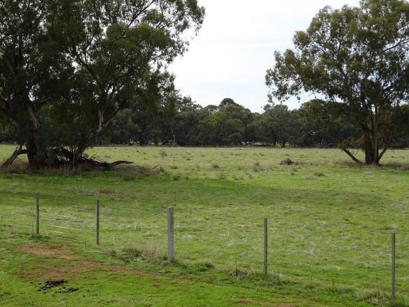 225 Streckfuss Road, Mathoura NSW 2710